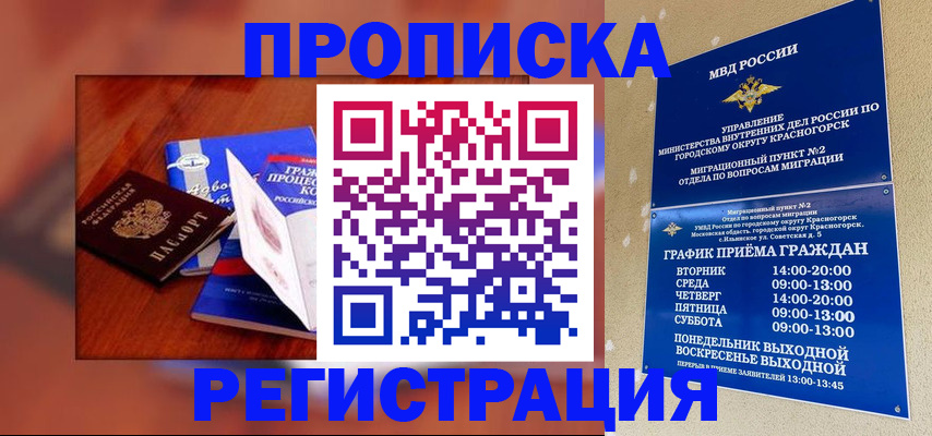 временная регистрация для школы в Ивантеевке